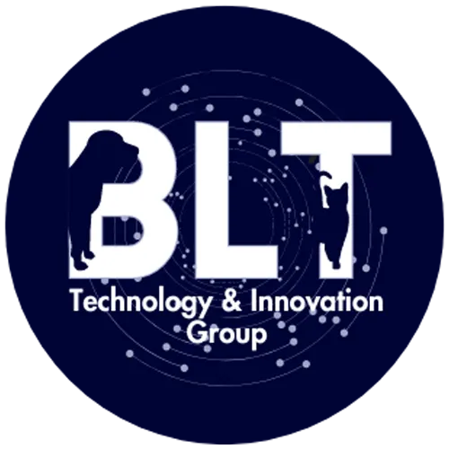 BLT Consulting Logo